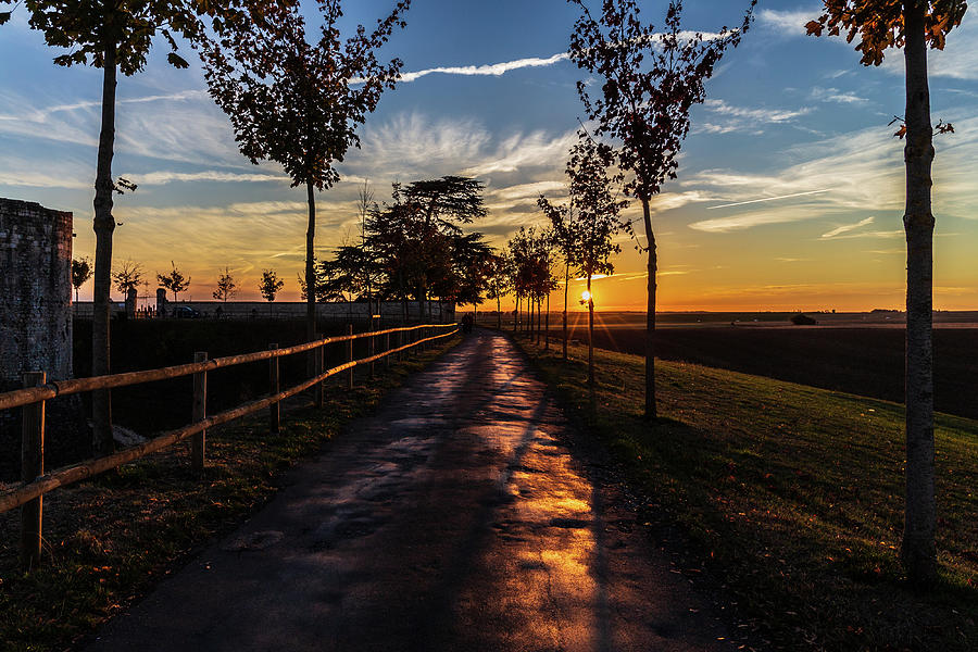 Country road at sunset Photograph by Fabiano Di Paolo