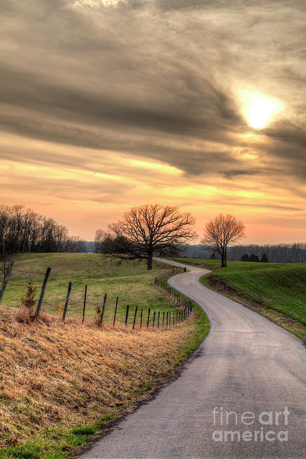 Country Road at Sunset Photograph by Larry Braun