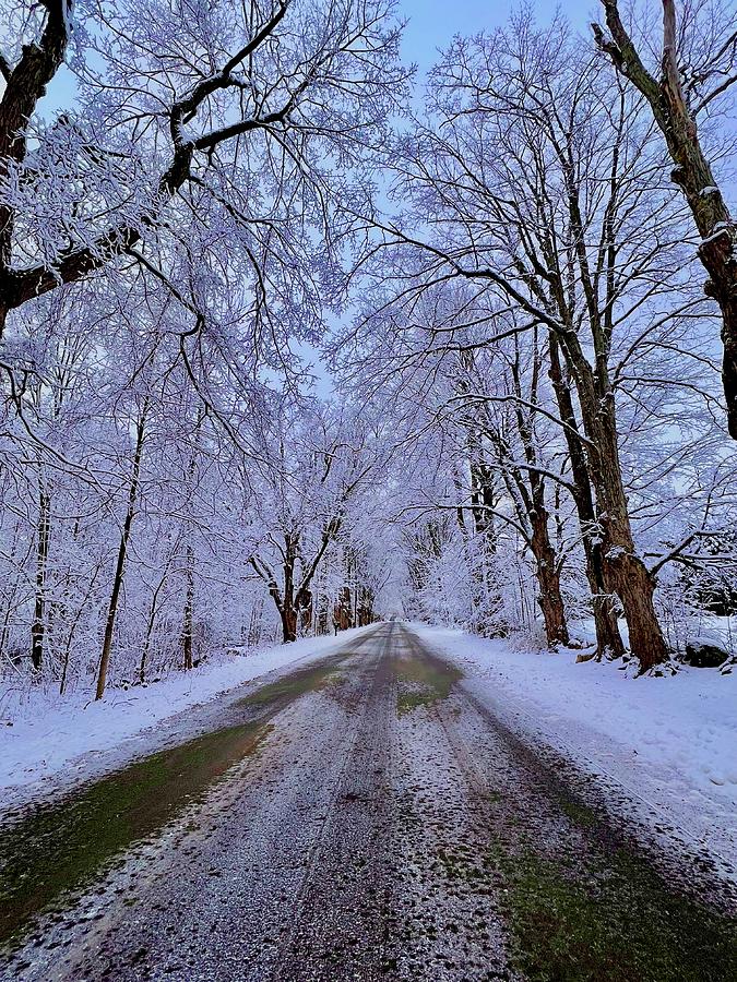 Country Road Dressed For Winter Photograph by Keri LaGrave Country Road Dressed For Winter Photograph by Keri LaGrave