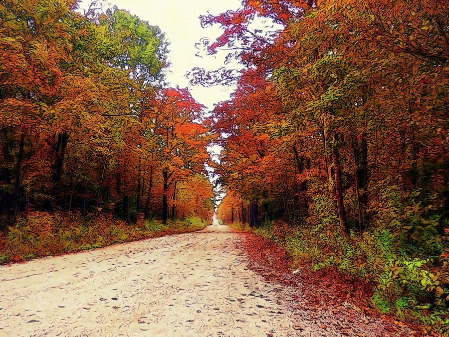 Country Road - Fall Colors - Landscape Photograph