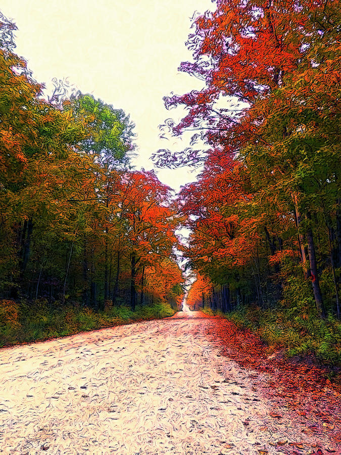 Country Road - Fall Colors - Portrait Photograph