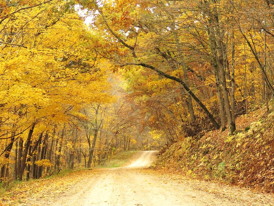 Country Road in Autumn  Photograph by Lori Frisch