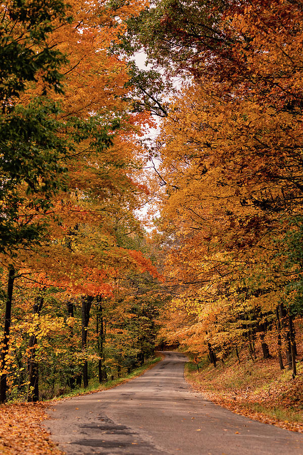 Country Road in Fall Photograph by Craig A Walker