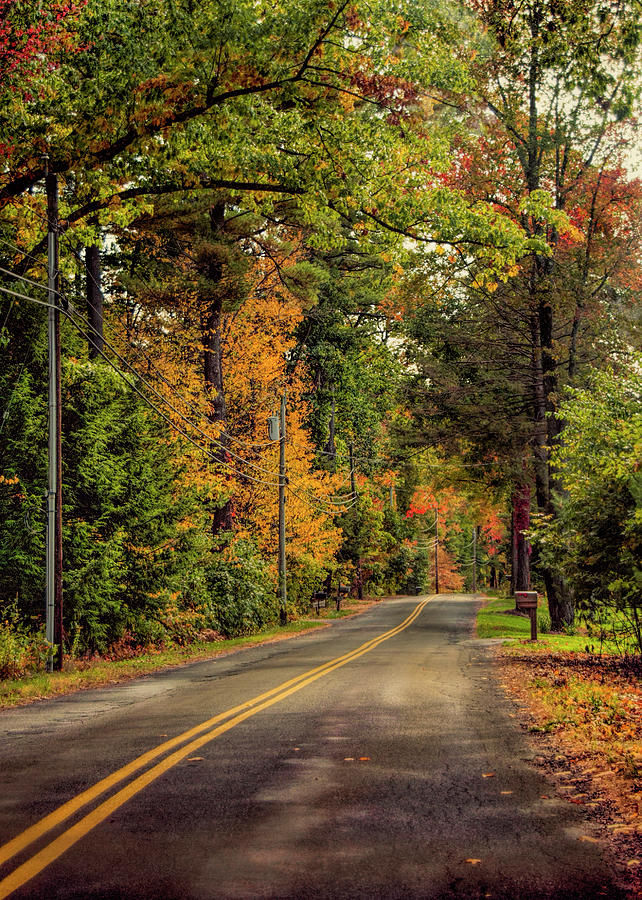 Country Road in Massachusetts Photograph by Cordia Murphy