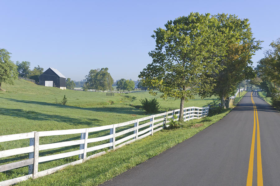 Country Road in Rural Farm Land at Morning Photograph by Catnap72
