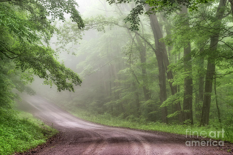 Country Road in Spring Mist Photograph by Thomas R Fletcher