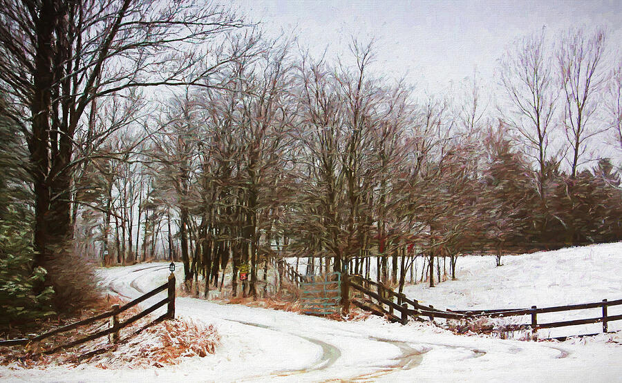 Country road in the snow Mixed Media by Tatiana Travelways