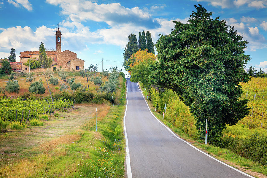 Country road in Tuscany Photograph by Alexey Stiop
