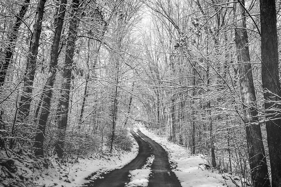 Country Road In Winter Photograph by Dan Sproul