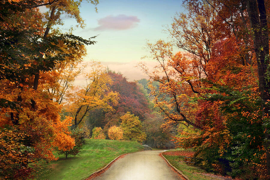 Country Road Photograph by Jessica Jenney