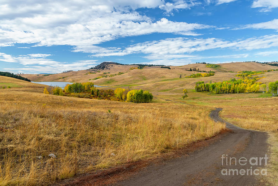 Country road leading to the lake Photograph by Viktor Birkus | Fine Art ...