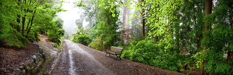 Country Road Park Bench Photograph by Sean Davey