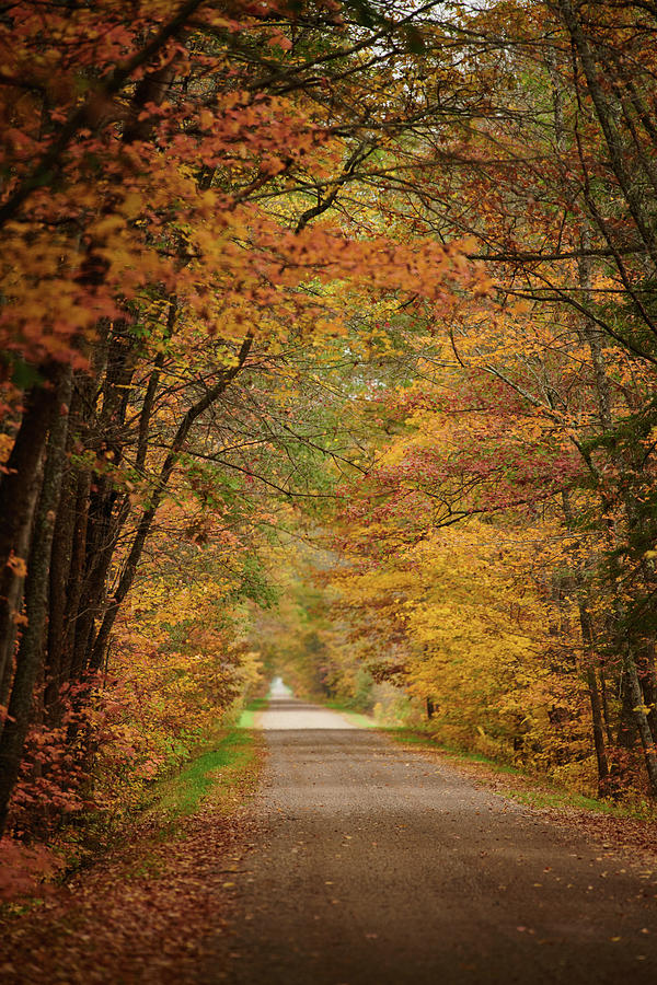 Country Road Photograph by Paul Freidlund