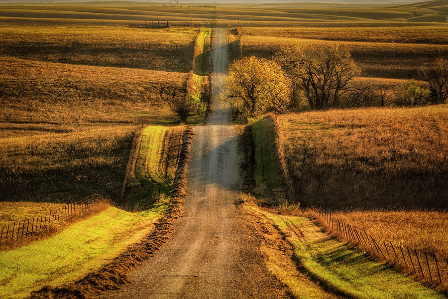 Country Road Photograph by Scott Bean