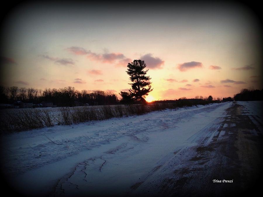 Sunset Photograph - Country Road Sunset by Trina Prenzi