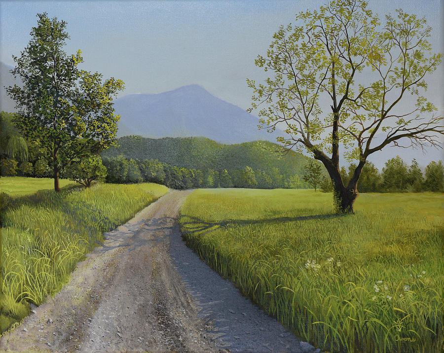 Country Roads Collection Sevierville Tennessee Painting by Charles Owens