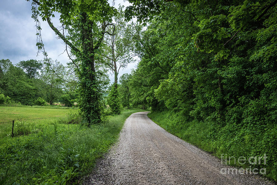 Country Roads - Greene County - Bloomfield - Indiana Photograph by Gary Whitton