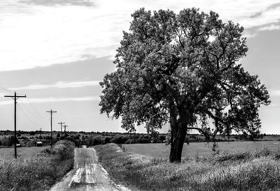 Country Roads Photograph by Michael Ciskowski