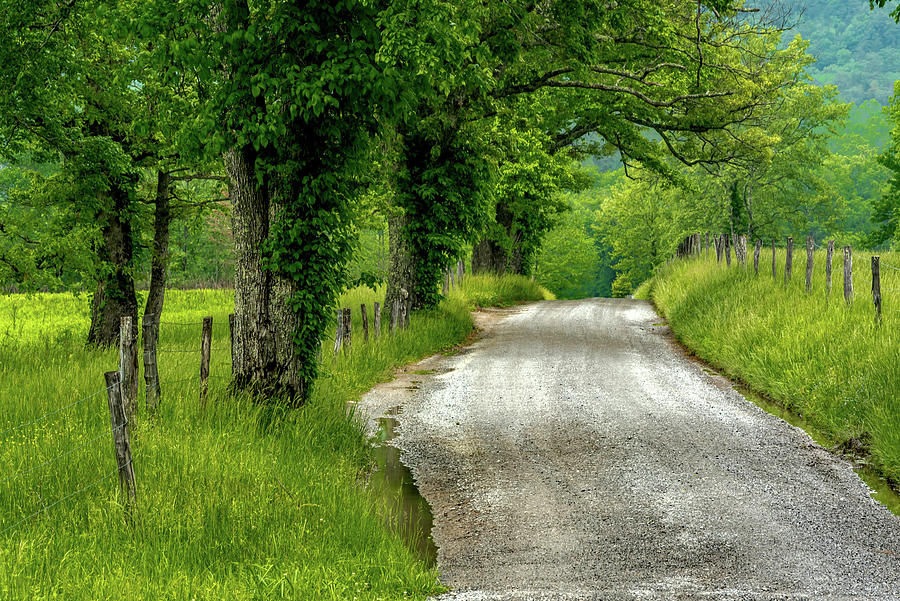 Country Roads, Take Me Home Photograph by Eric Albright