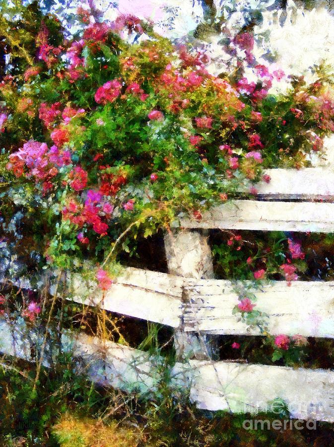 Country Rose on a fence 3 Photograph by Janine Riley
