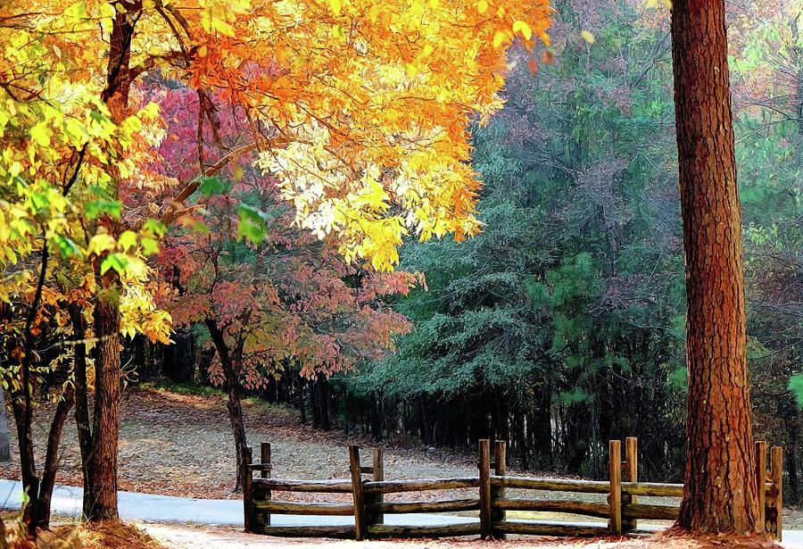 Fall Photograph - Country Scene In Autumn by Rick Davis