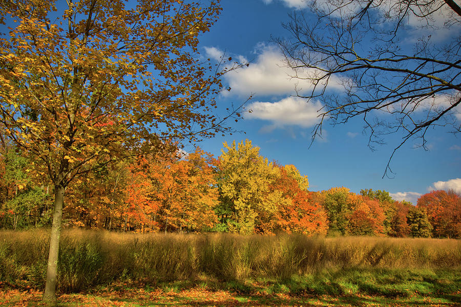 Country Side Autumn View in Upstate New York Photograph by Daniel ...