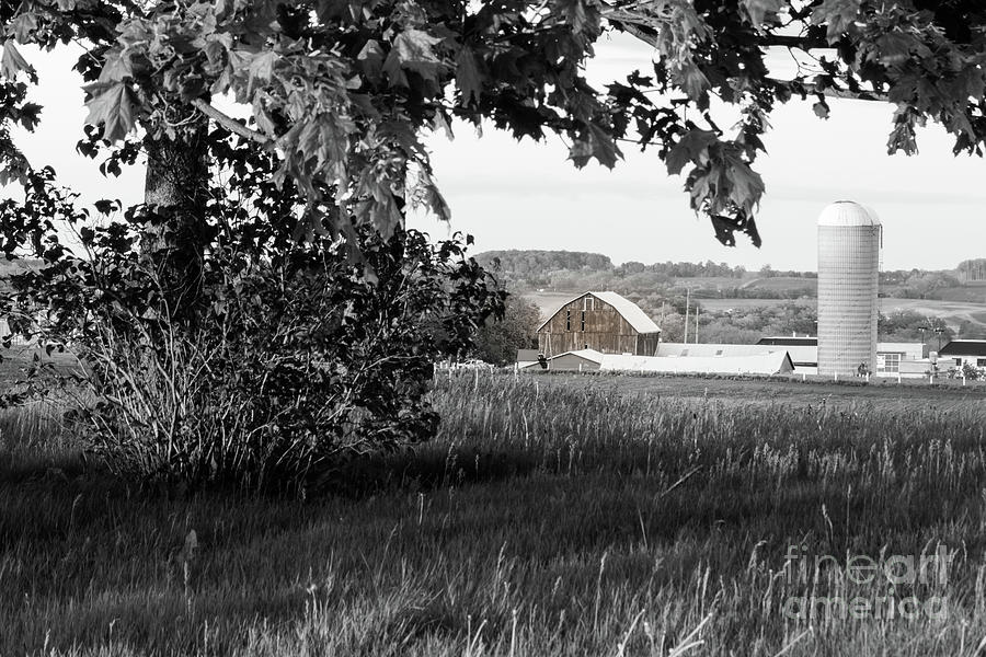 Rural Farm Scene 1 Photograph