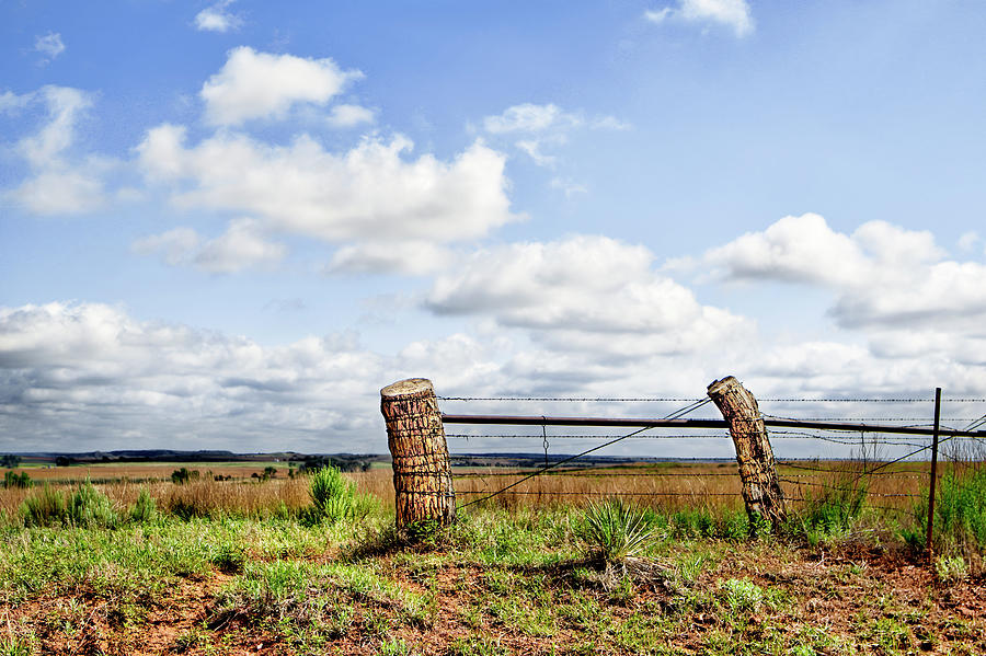 Country Solitude On The Open Plains Photograph by Ann Powell