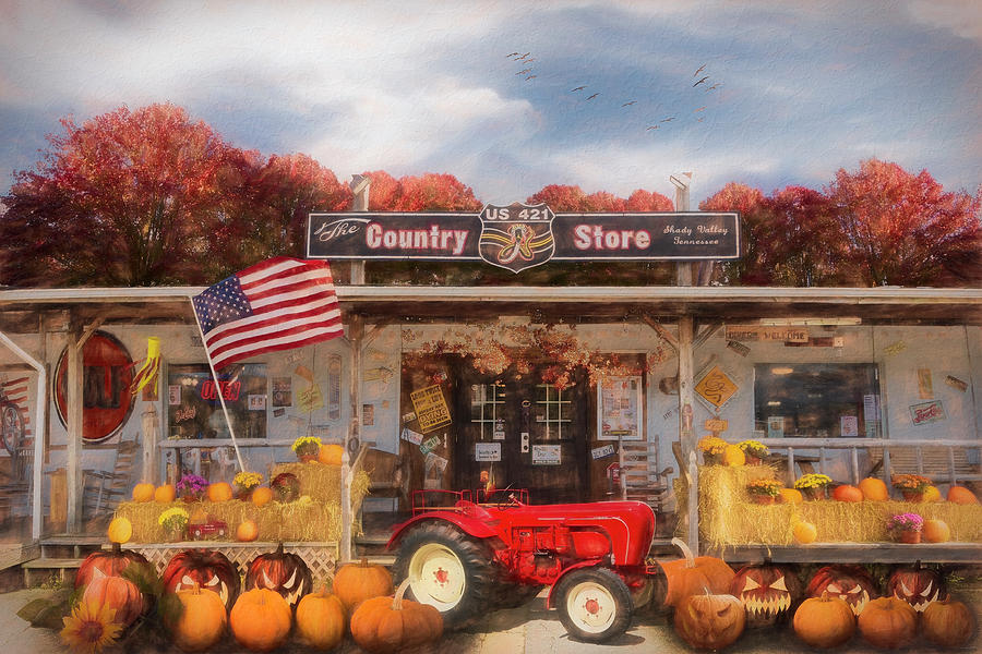 Country Store Shady Valley Tennessee Painting Photograph by Debra and Dave Vanderlaan