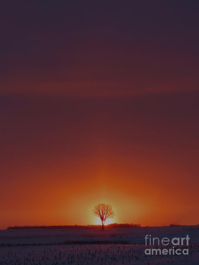 Country Sunrise Photograph by Diana Rajala