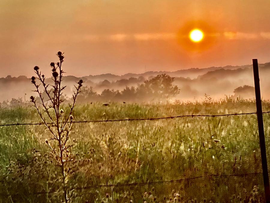 Country Sunrise Photograph by Micky Roberts