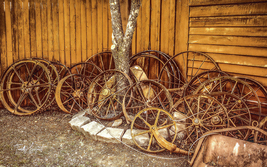 Country Town Decor  Photograph by Tammy Bryant