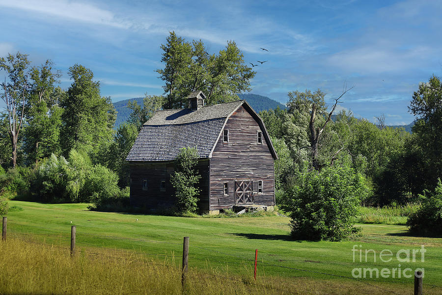 Nature Photograph - Country Tranquility by Douglas White