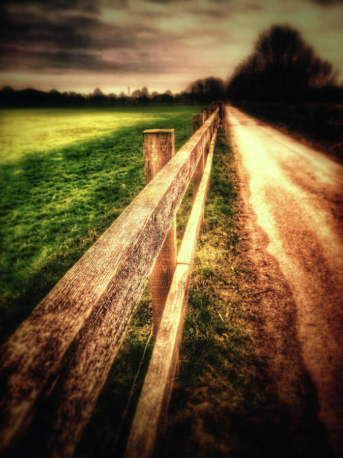 Country Walk Photograph by Vintage Collectables