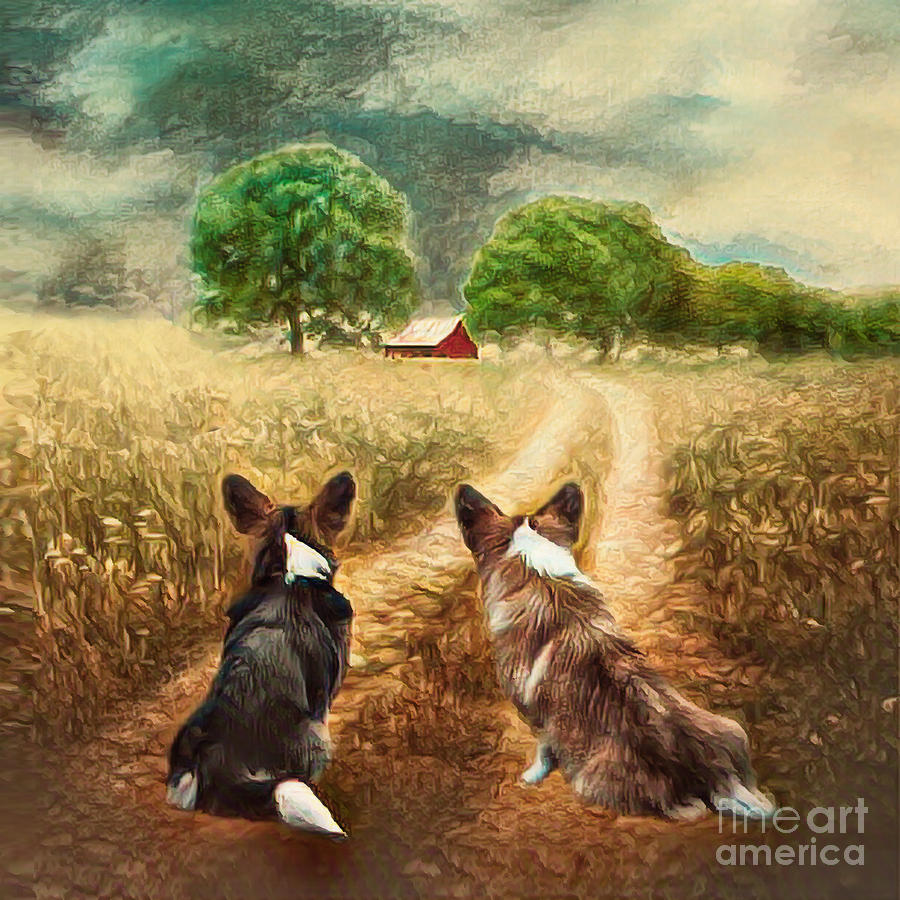 Country Welsh Corgis Mixed Media by Kathy Kelly
