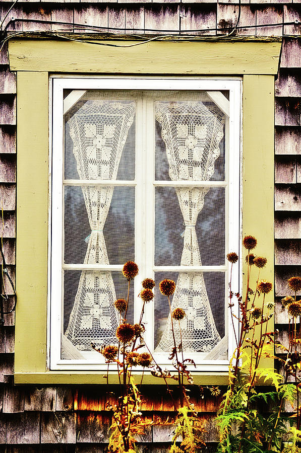 Country window lace and thistles Photograph by Tatiana Travelways