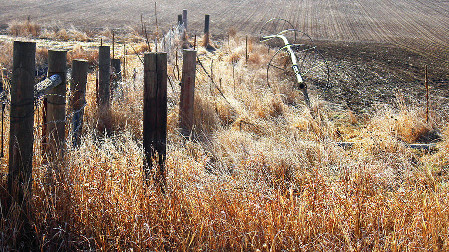 Country Winter 2 Photograph