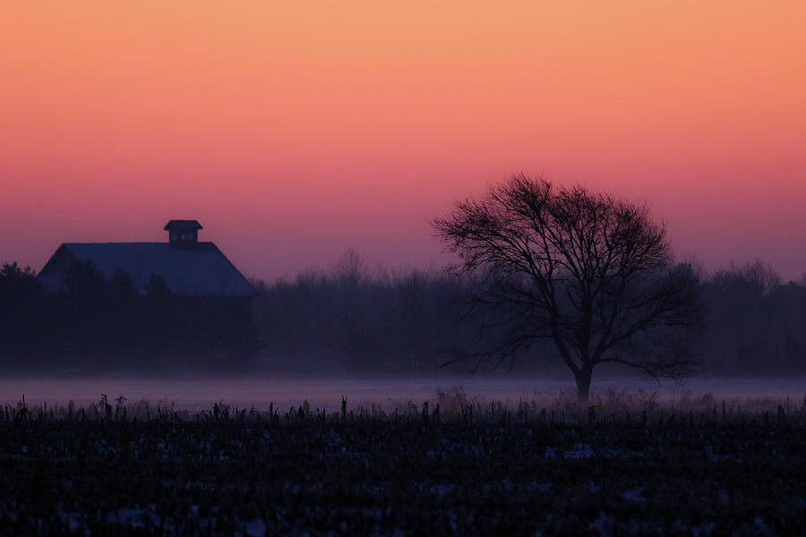 Country Winter Photograph by Brook Burling
