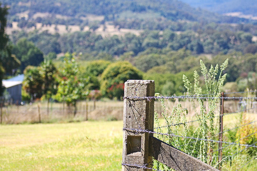 Countryside Farm Fence  Photograph by Joy Watson