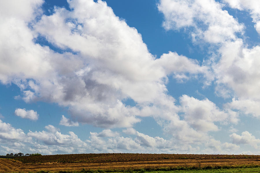 Countryside landscape and blue sky Photograph by Fabiano Di Paolo