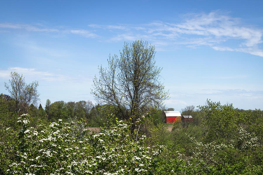 Countryside landscape with Red barn in Spring Photograph by Cristina Stefan
