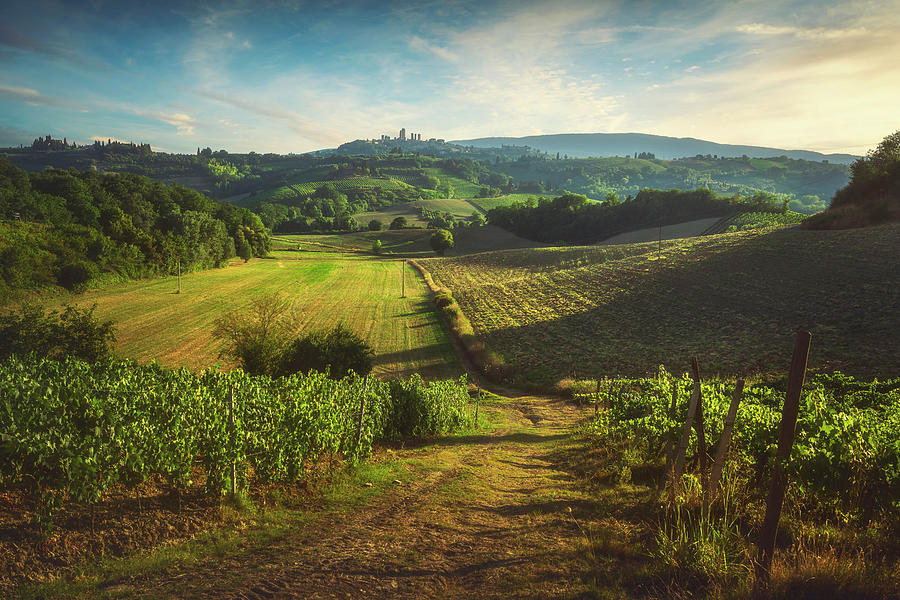 Countryside view and San Gimignano on background Photograph by Stefano Orazzini