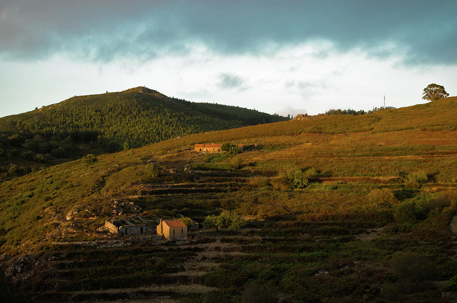 Countryside view in Monchique at sunset Photograph by Angelo DeVal