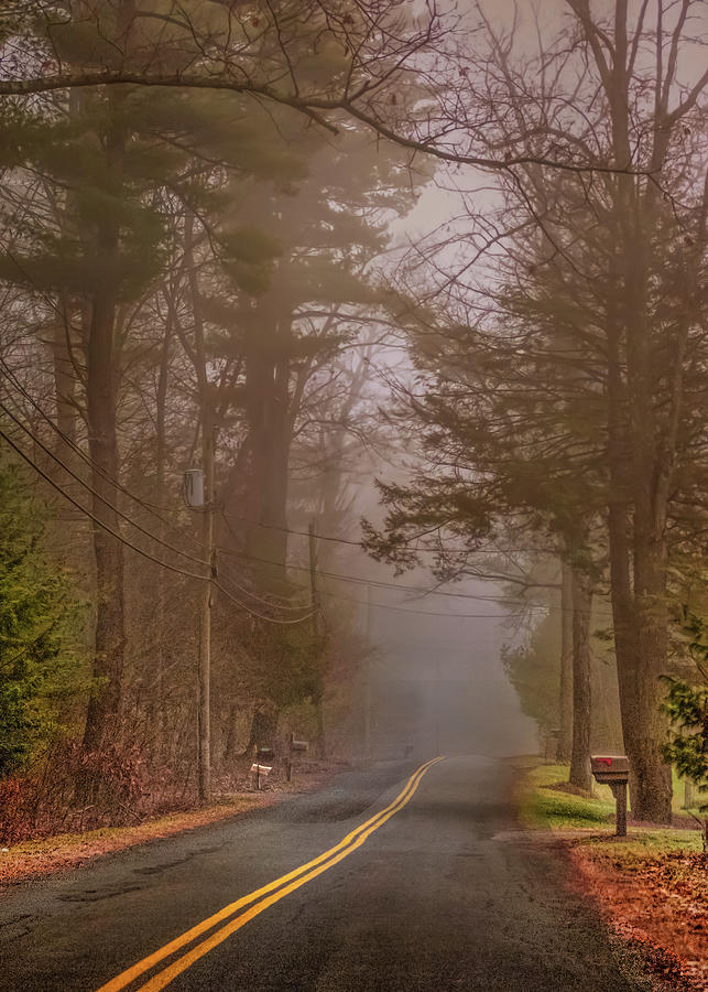 County road in the fog Photograph by Cordia Murphy