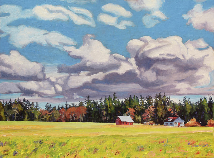 Coupeville Clouds Painting by Stacey Neumiller