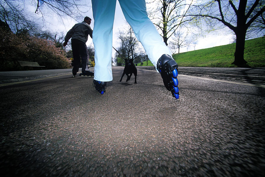 Couple inline skating in park with pet dog Photograph by Howard Kingsnorth