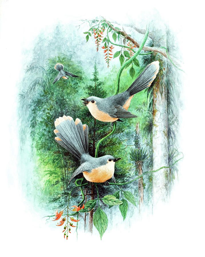 Bird Digital Art - Couple of Birds by Long Shot