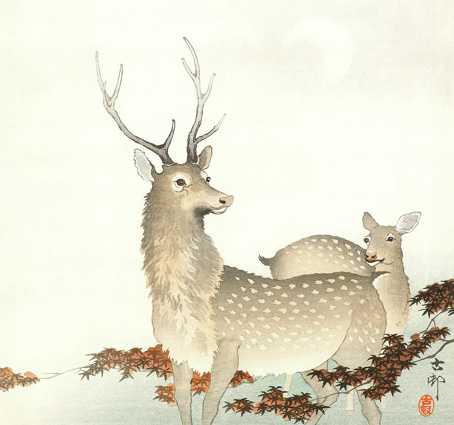 Couple of deers Japanese Illustration Art Painting by Ohara Koson