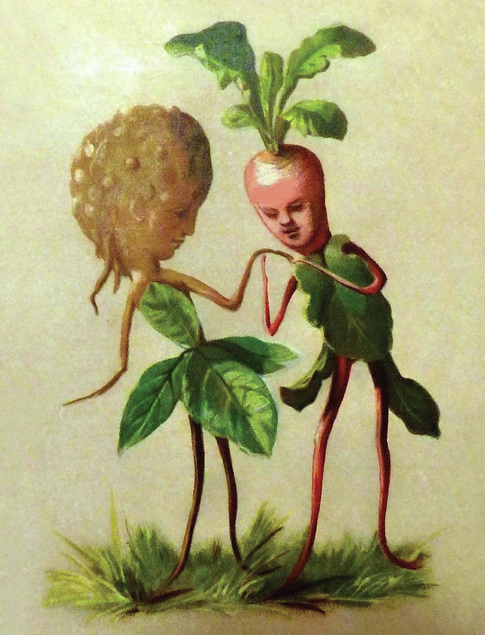 Couple of Plants in Love Digital Art by Long Shot