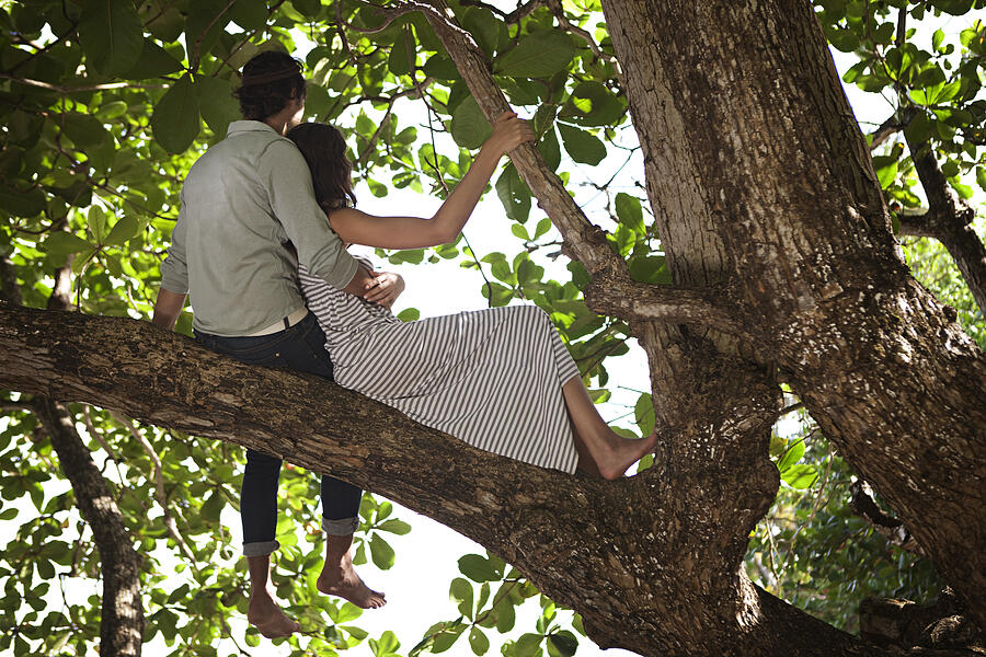 Couple sitting in tree Photograph by Ralf Nau